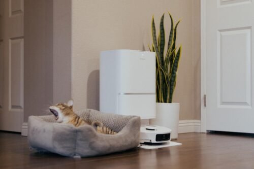 DREAME L40 Ultra Robot Vacuum and Mop, 11,000Pa Suction, Removable & Liftable Mop, Auto-Empty, Voice Control, Self-Cleaning, Pet-Friendly Smart Vacuum photo review