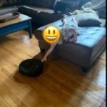 eufy X10 Pro Omni Robot Vacuum and Mop Combo, 8,000Pa Suction, Self-Emptying, Auto Mop Washing & Drying, Dual Auto-Lift Mops, AI Obstacle Avoidance, Black photo review