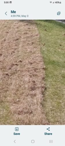 Greenworks 13 Amp Corded Dethatcher & Scarifier – 14″ (35.6 cm) Deck, 5-Position Depth (DT13B00) photo review