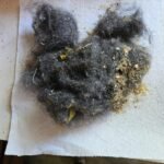 Shark AV2501S AI Ultra Robot Vacuum with HEPA Self-Empty Base, Matrix Clean Navigation, 30-Day Bagless Capacity, Smart Mapping, Voice/App Control, Perfect for Pet Hair & All Floors, Dark Grey photo review