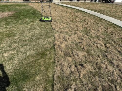Greenworks 13 Amp Corded Dethatcher & Scarifier – 14″ (35.6 cm) Deck, 5-Position Depth (DT13B00) photo review